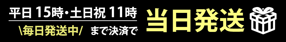 コスプレ土・日・祝も即日出荷