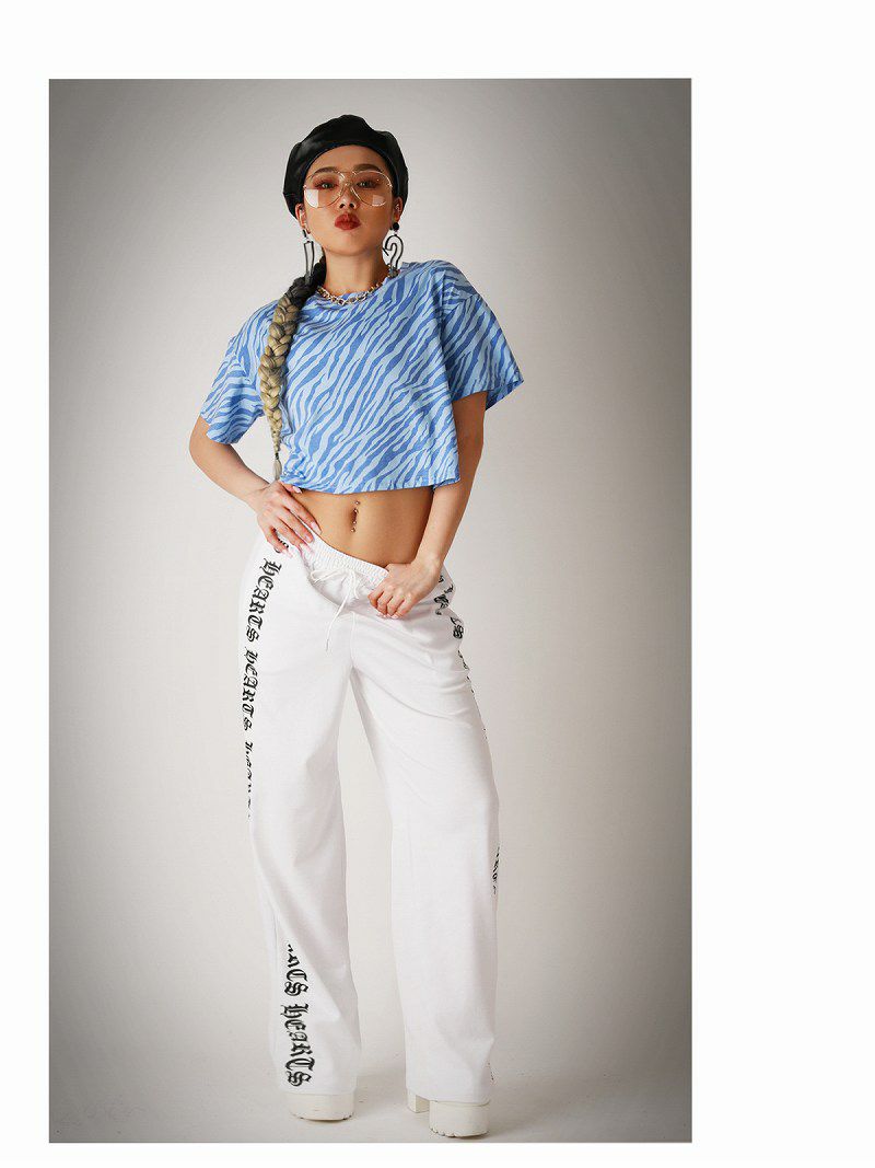 ゼブラ柄ショート丈半袖Tシャツ
